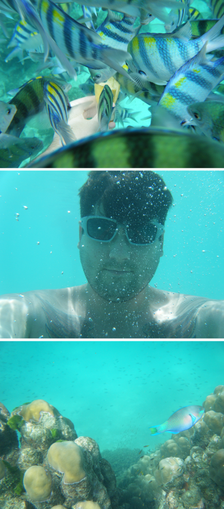 e6357-chris2bin2bthe2bwild2bsea