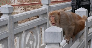 Ha Long Bay, Halong Bay, Vietnam, Cruise