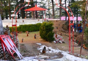 Jakhu Temple, Shimla, India, Monkeys