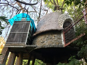 Hanoi, Vietnam, Tree House