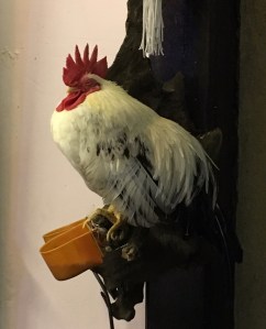 Hanoi, Vietnam, Coffee, Egg Coffee, Cafe